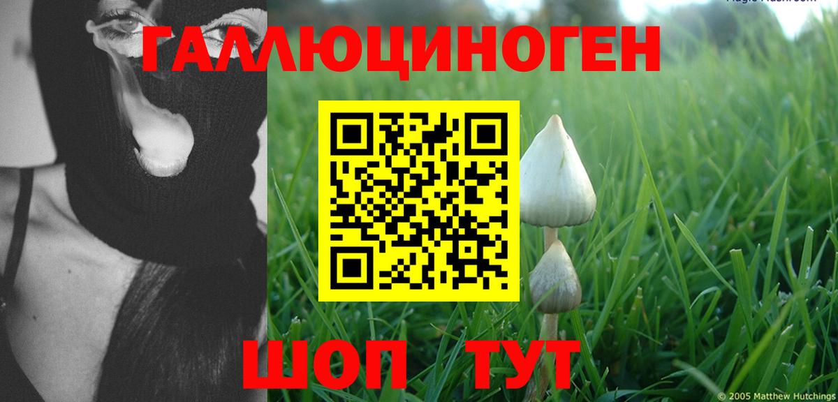 Псилоцибиновые грибы MAGIC MUSHROOMS  Галлюциногенные грибы GOLDEN TEACHER  Ейск  Вход с VPN 