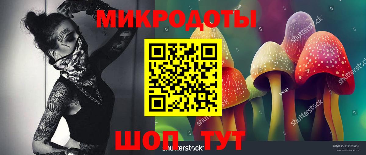 Галлюциногенные грибы Ейск